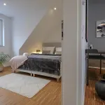 Apartament Neues Modernes Dachgeschossloft Naehe Zentrum Uni Messe Hanower